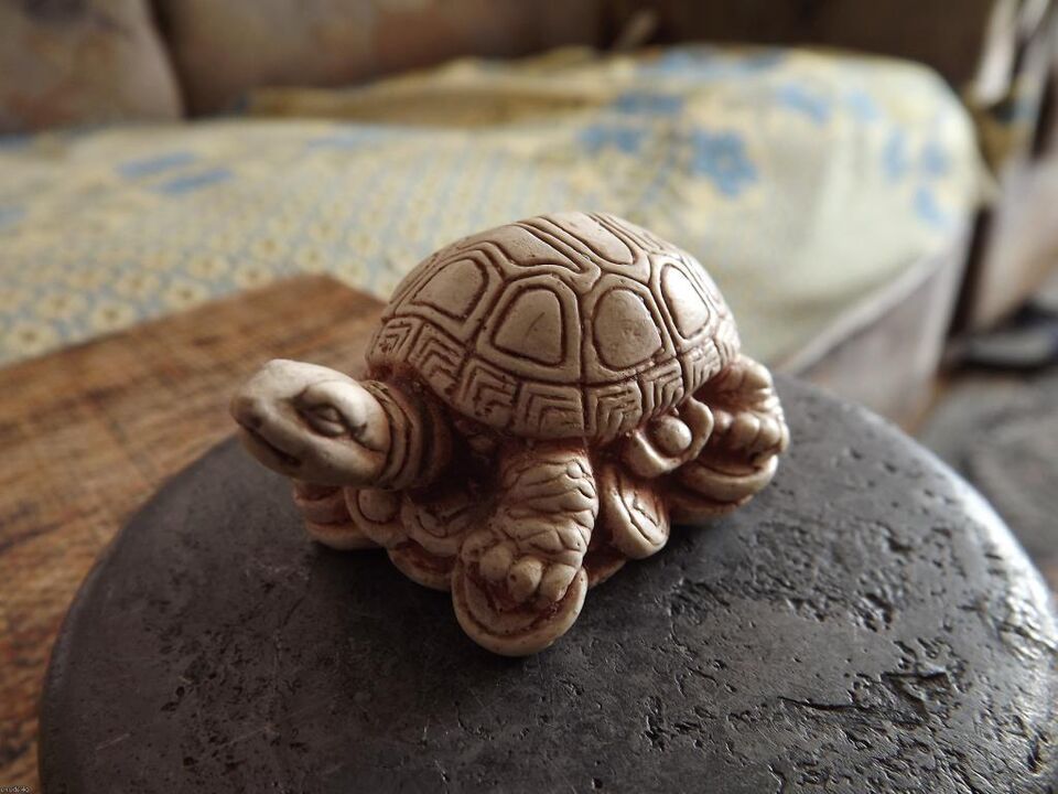 estatueta de tartaruga como um amuleto de boa sorte